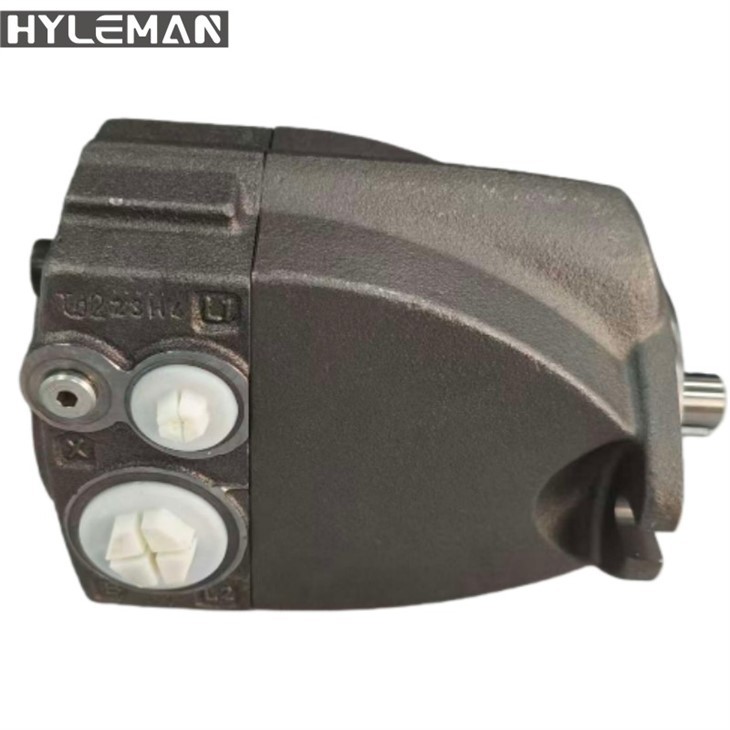 A1VO018DNC20010BRVA2K31000000-0 (11)_