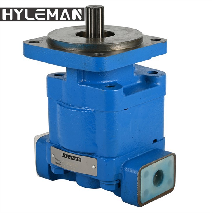 PGP -seeria Pompa käigutüüp PGP350 seeria