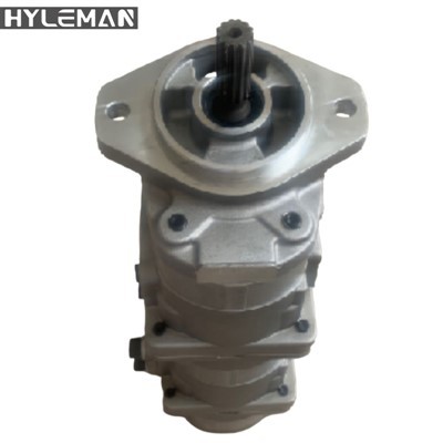 Hüdraulilise hammasrattapumba PC60-3 tootja